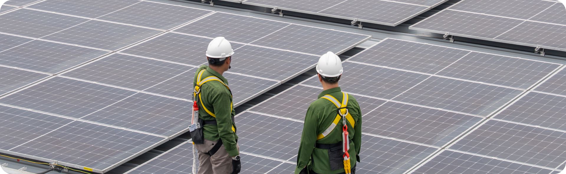 Solar Panel Workers
